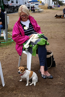 Pets