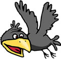 crow-120×116